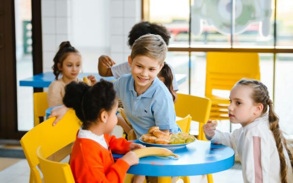 Concurso Alimentação Escolar 2026: Guia Completo e Inscrições