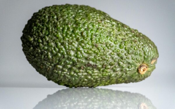 Abacate 2026: 7 Receitas Fáceis e Nutritivas Para o Dia a Dia