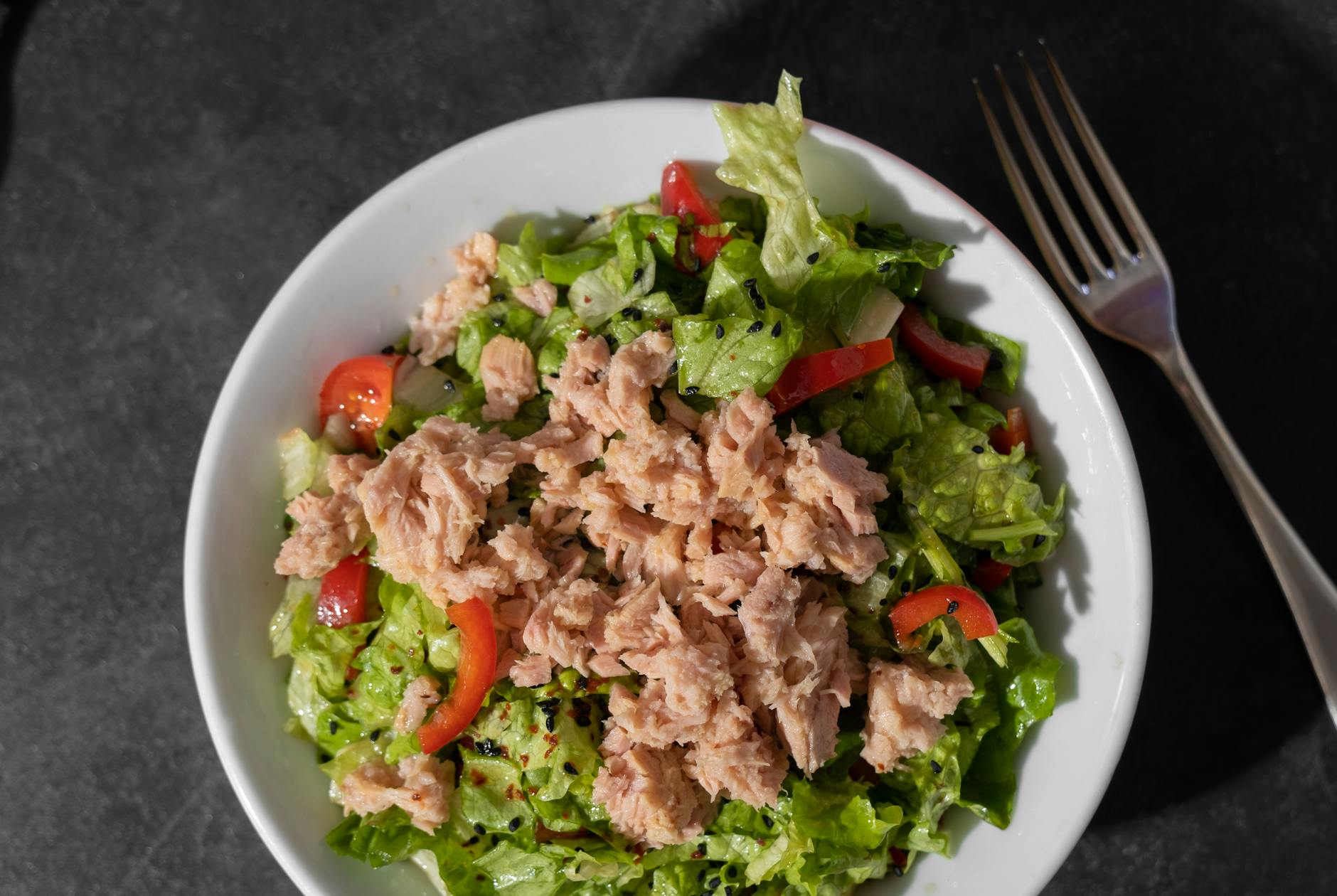 5 Receitas com Atum Fáceis e Rápidas (2026)